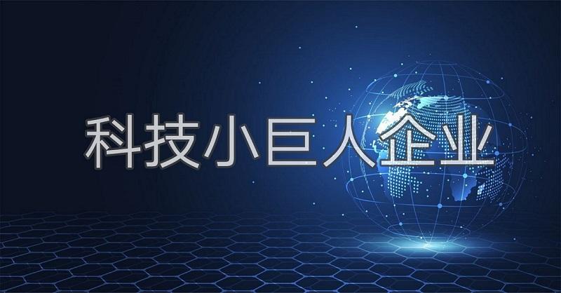 科技小巨人是什么？廣州市企業(yè)科技小巨人怎么認(rèn)證申請(qǐng)