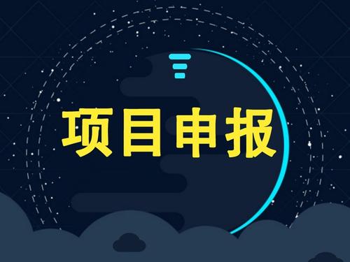 企業(yè)可以獨自申請項目補貼嗎？成功率怎么樣？