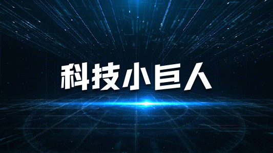 廣東省工業(yè)和信息化廳關(guān)于做好第四批專精特新“小巨人”企業(yè)推薦和第一批專精特新“小巨人”企業(yè)復(fù)核工作的通知