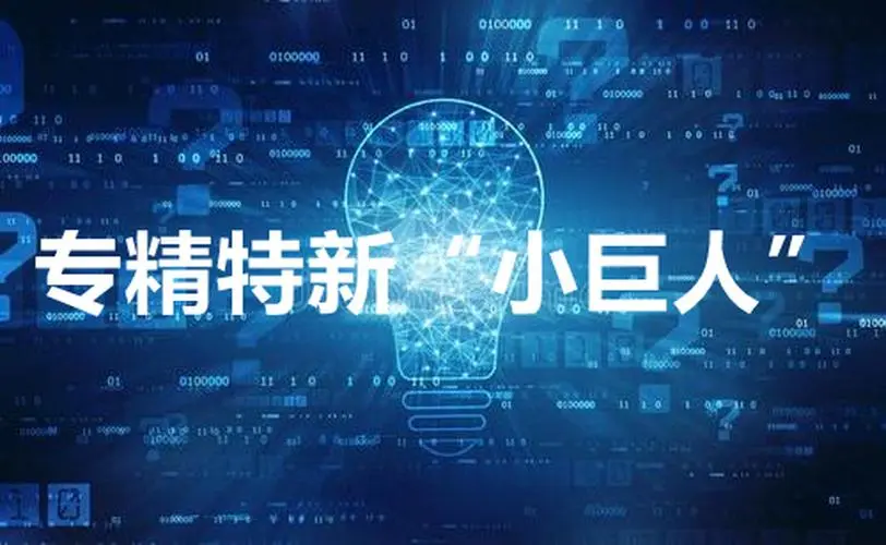 【詳細(xì)】專精特新企業(yè)申報(bào)流程、條件、領(lǐng)域